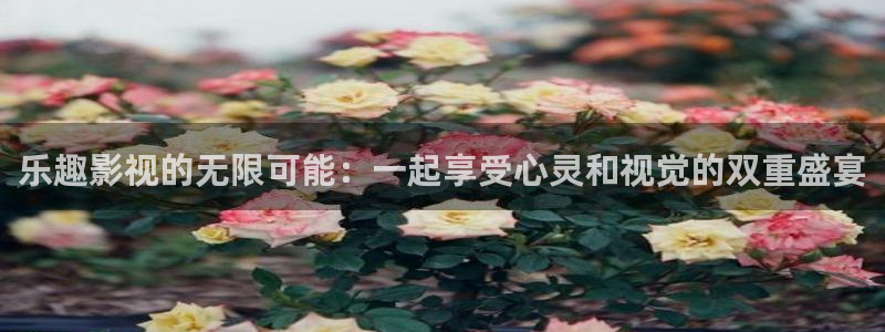 保利万和影院：乐趣影视的无限可能：一起享受心灵和视觉的双重盛宴