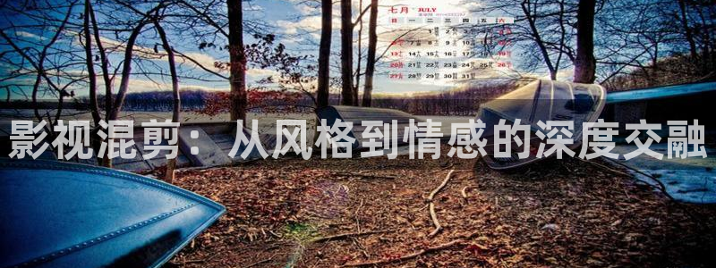 深圳保利影院：影视混剪：从风格到情感的深度交融