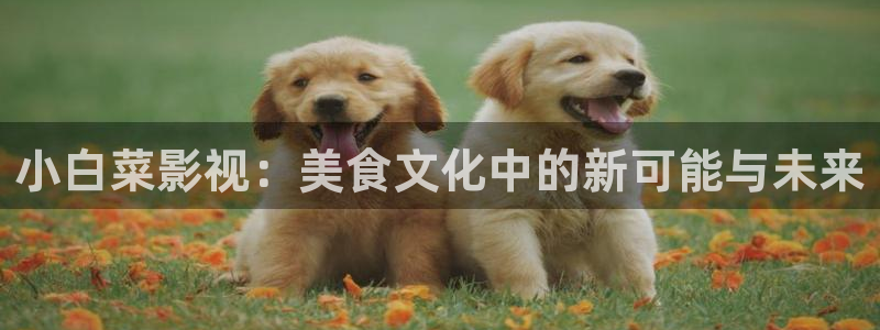 保利电影团购：小白菜影视：美食文化中的新可能与未来