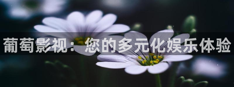 保利电影国际影城
