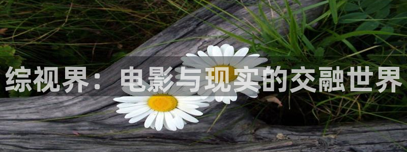 衡水保利影城：综视界：电影与现实的交融世界