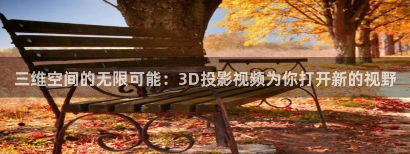 保利国际电影院：三维空间的无限可能：3D投影视频为你打开新的视野